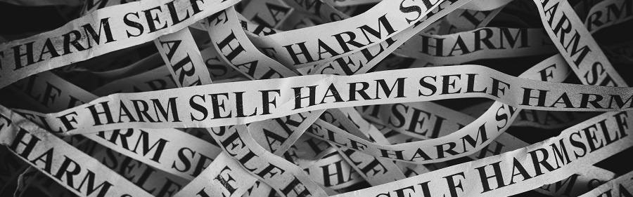 EduCare What Is Self Harm 